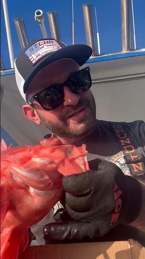 How to avoid a ticket at the Dock - difference between Yellow Eye and Vermillion #fishing #sea