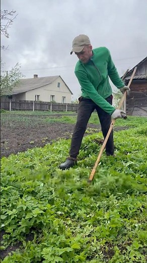 Quick Grass Mowing with a Homemade Scythe