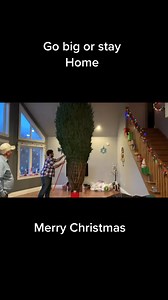 427K views · 4.9K reactions | You will NOT BELIEVE how BIG this tree is 勞 TT: ruralcanadianfarmer #christmas #xmas #decor #decoration #christmasdecor #snowman #snow #love #food #bestofchristmasss | Best Of Christmas | Facebook