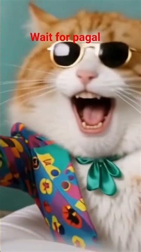 #Daru pi liya#cat 😱😱 #shorts #viral #trending #cat