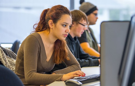 Bachelor of Information Technology | Whitireia and WelTec