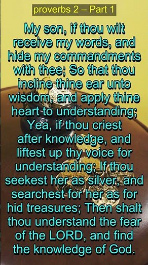 Proverbs 2 Explained: Pursuing Wisdom & Understanding | Bible Study Insights