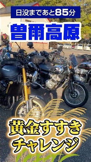 A girl on a bike hike to see the golden silver grass and the first light-up in three years at Son...