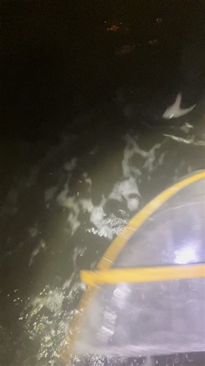 みてみてみてみてみて〜！ 今はコーヒーはいらない笑笑 でもあんまぁ〜いの欲してるかもww #海#缶 #MAXコーヒー