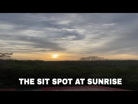 Watching the Sunrise Over a Recovering Forest—The Sit Spot, Emotions, and the Ripple Effect