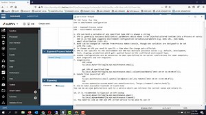 IBM BPM/BAW EPV and ENV differences