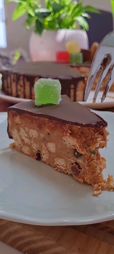 30K views · 464 reactions | Plazma torta gotova za 10 min Bas me...