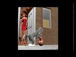 Prevent the virus which causes feline infectious peritonitis (FIP) from infecting your cats