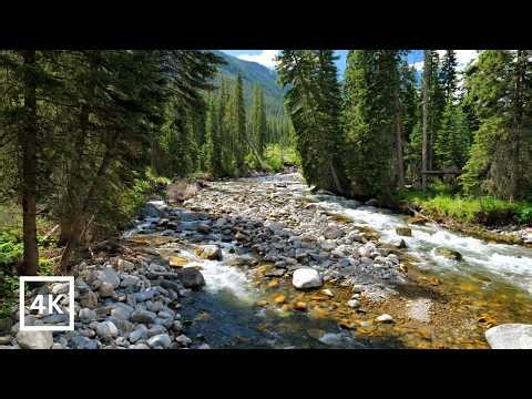 4K This Is Why We Go | Wild Boulder River in Montana's Absaroka-Beartooth Wilderness | White Noise