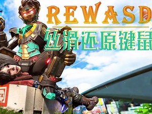 rewasd apex游戏设置