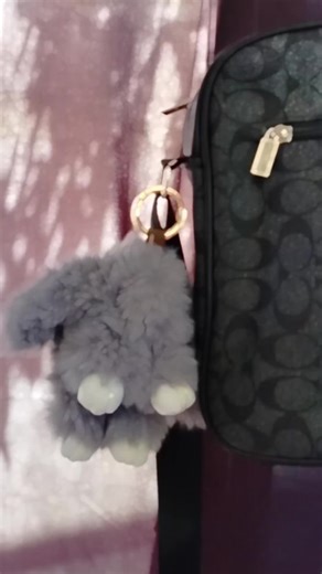 Kawaii Bunny Keychain Review! 🌸 Is it Worth Buying?