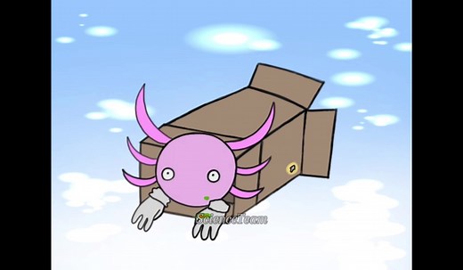 Kinito Gang Sliding Into a Box! 🐸💥 #Kinito #Pet #Axolotl #FYP #Viral #Entertainment