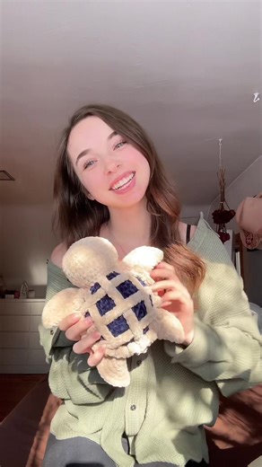 Crochet Blueberry Pie Sea Turtle Pattern Guide