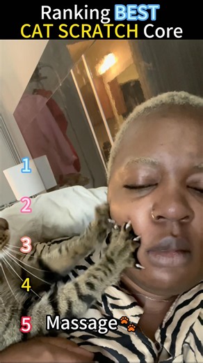 Ranking FUNNIEST CAT SCRATCH Core Moments!! 🐱🩹