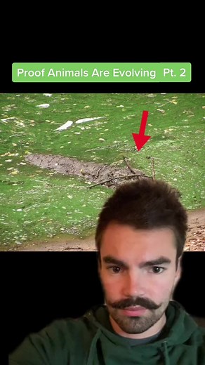 Never knew prairie dogs were so smart 🤯 #nature #facts | Morbid Facts