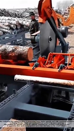 Massive Log Cutting Machine in Action! #shorts