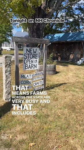 NH Chronicle visits Farmsteads of New England tonight at 7. | Sean Mcdonald