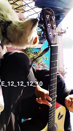 One string challenge accepted! Kaisa laga? (FADDED).ek taar dher saari feelings 🎸 simple guitar,❤️