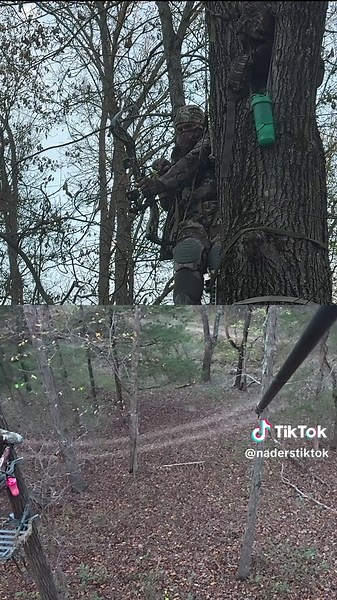 Missouri Rut Success for Whitetail Hunters