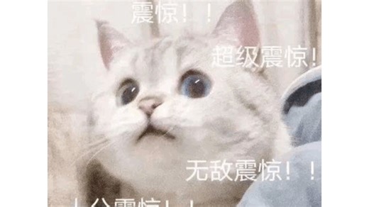 千问搜索一触即答-大学