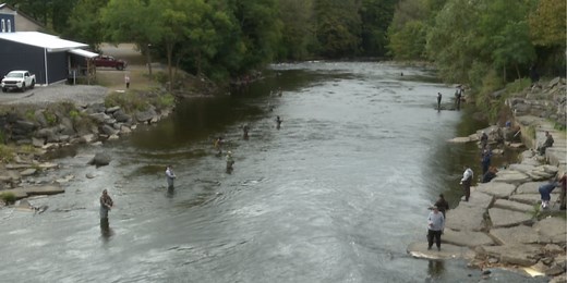 Learn where the DEC has stocked trout this season