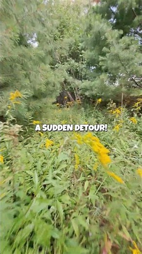 A HIKE AT MY DOORSTEP