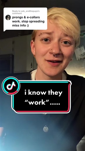 Prong Collar vs Shock Collar: A Comparative Analysis