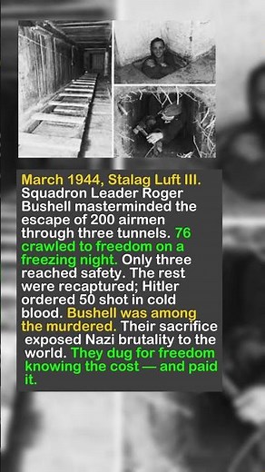 The Great Escape That Ended in Tragedy 😔 76 Men,