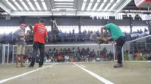 13K views · 429 reactions | NEW DAVAO MATINA GALLERA. 6-COCK ARAW NG DAVAO DERBY MARCH 10,13,15&17, 2018. 3-COCK 3RD ELIM. MARCH 15, 2018 P22 MILLION. ENTRY NAME : NNC MAGABDESE DRAGON 888. OWNER : MERWIN GAPAZ / ANTONIO BURBURAN. 2-TIMES WINNER CALIFORNIA DOM. MARCH 15, 2018. (LOSS) | Antonio Burburan | Facebook