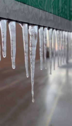 🚨 ICE STORM DAMAGE — OXFORD, MISSISSIPPI 🚨 📍 Oxford, MS 📅 January 2026 Freezing rain quietly built overnight and by morning, trees, power lines, and streets across Oxford were already giving way under the weight of ice. 🧊 Thick glaze ice on trees and wires 🌳 Large limbs snapped and blocking roads ⚡ Power lines and streetlights down 🚧 Dangerous travel conditions across town Ice storms don’t need wind or thunder. They load everything silently… until it collapses. ⚠️ Avoid downed lines, stay