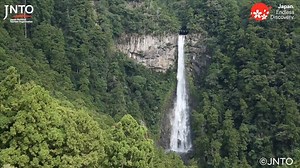 39K views · 1K reactions | From its source in an evergreen primeval...