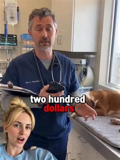 Dog Knee Problems? Protect Both Legs. Most knee braces only support one leg. But when one knee is injured, the other leg compensates—carrying double the weight and stress. That's why so many dogs end up with problems in both knees. PawSupport™ Dual Dog Knee Brace protects BOTH legs. ✅ Distributes weight evenly across both rear legs ✅ Reduces pain from arthritis, ligament injuries, and joint instability ✅ Prevents compensatory overload on the opposite leg ✅ Supports healing post-operation or for 