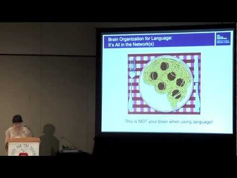 Brain Organization for Language: It's All in the Network