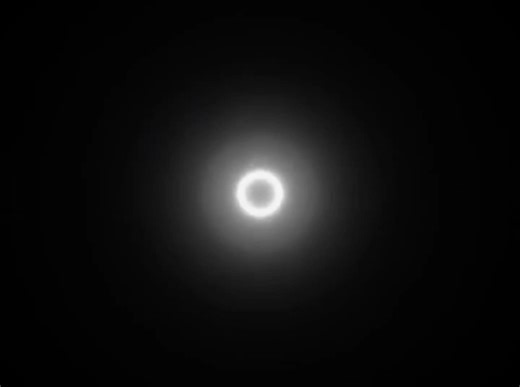 damo d-project on TikTok