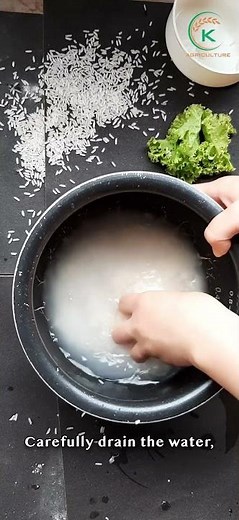 5 simple steps to cook jasmine rice - Quick and easy guide