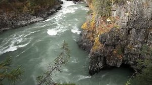 4.4K views · 137 reactions | Forests provide drinking water to over...