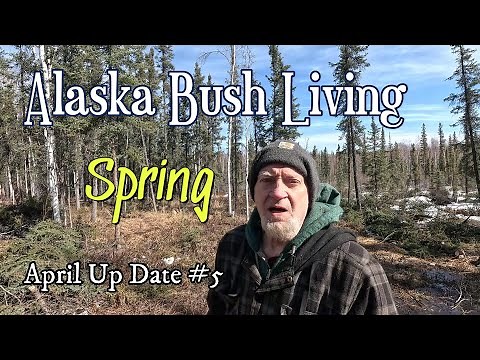 Facing Numerous Off Grid Wilderness Living Projects for Spring - April Update# 5