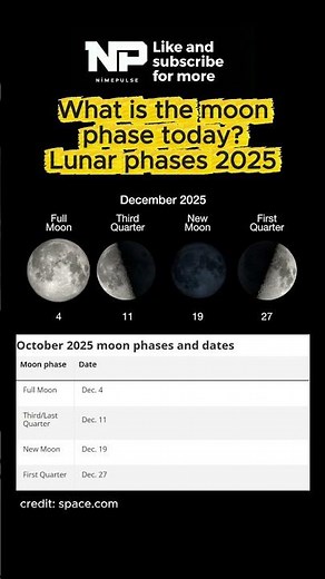 2025 Moon Phases Every Date You Need #moonphase #space #calendar