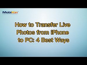 How to Transfer Live Photos from iPhone to PC: 4 Best Ways