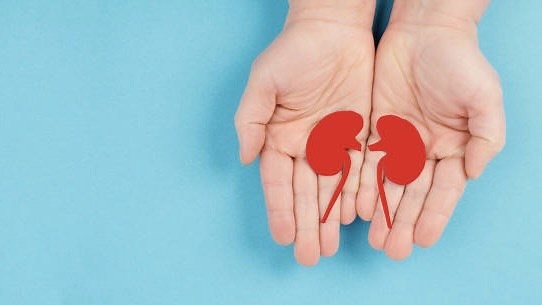 Don't Ignore These 5 Symptoms Of Kidney Disease?