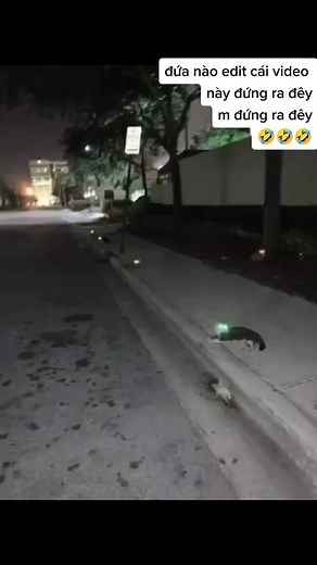 5.9M views · 94K reactions | Cái xã hội này…藍藍藍 #reels #xuhuong #virral | Sơn Diamond | Facebook