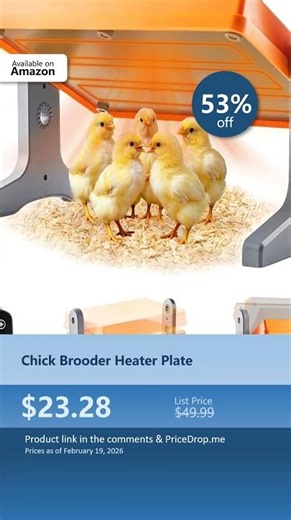 videoChick Brooder Heater Plate