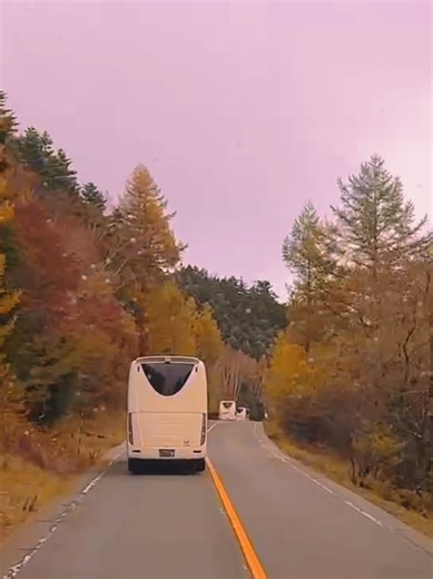 Exploring Autumn Maple Leaves on Mount Fuji