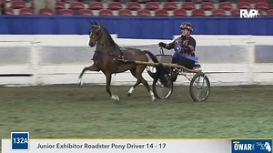 Attention Pony Lovers!!! Need that fix? The American Hackney Horse Society and Richfield Video have partnered to bring you our 3rd fun night of pony classes from the World's Championship Horse Show, this time from 2000! Tune in tonight on the AHHS Facebook page at 7PM est! | Richfield Video Productions