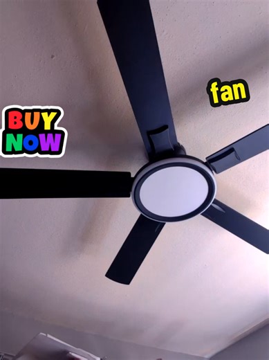 Bay Squirrel 52 Inch Bluetooth Ceiling Fan Review