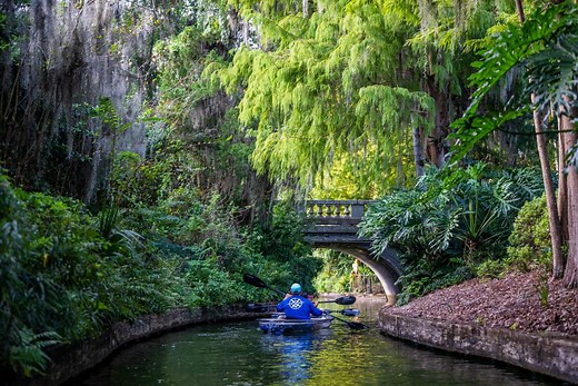 Winter Park, FL Clear Kayak Tours | Get Up and Go Kayaking