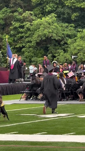 Jeffrey Johnson on Reels