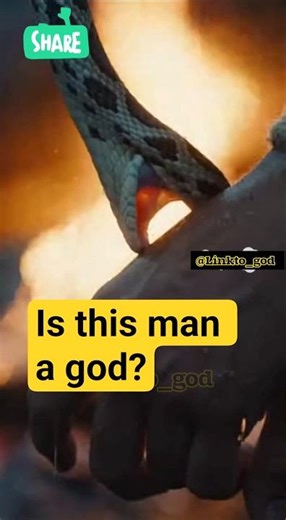 Paul was bitten by a snake