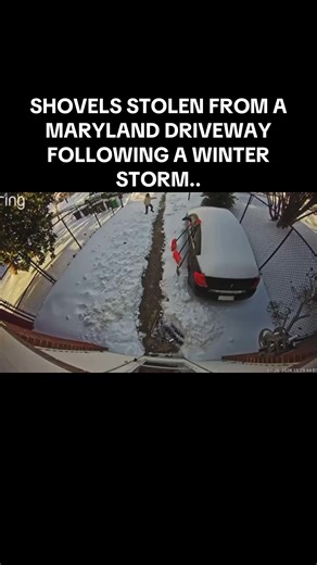 Police in Prince George’s County, Maryland are searching for a man who stole 3 shovels from a driveway in the 6500 block of 8th Avenue in Chillum. #dmvtiktok #winterstorm #Code3DMV #snowstorm #dmv