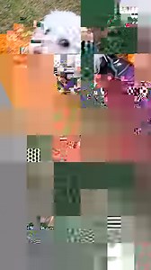 17 reactions | I Found Out How Christmas Trees Are Made | Christmas...